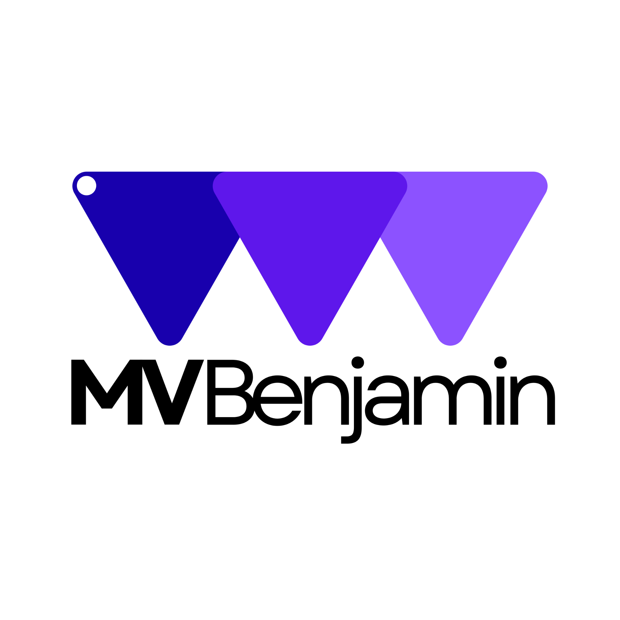 MV Benjamin LTD logo